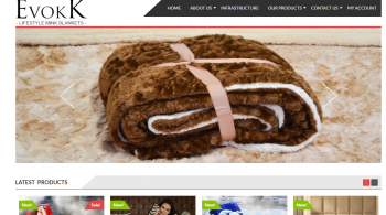 Online sales blankets-wise biz tech