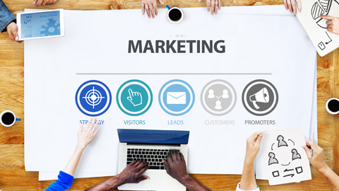 digital marketing training in panipat by wise business technologies